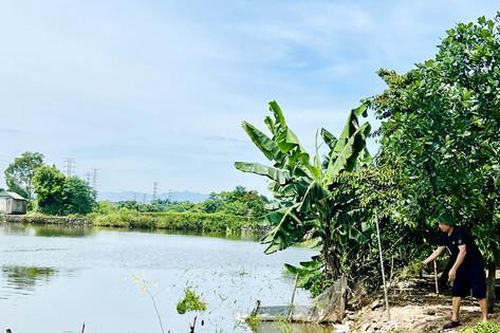 Đấu giá quyền thuê đất nông nghiệp công ích tại huyện Quốc Oai: Gỡ khó chuyện 'khó gỡ'
