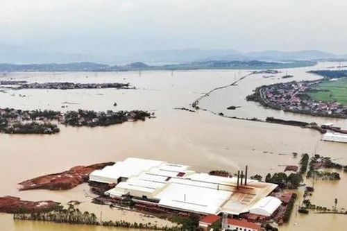 Cộng đồng người Việt Nam ở nước ngoài quyên góp 13 tỷ đồng ủng hộ nạn nhân bão số 3