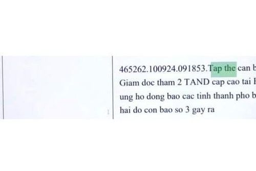 Danh tính cô gái mạo danh TAND cấp cao chuyển khoản 200 ngàn đồng ủng đồng bào lũ lụt