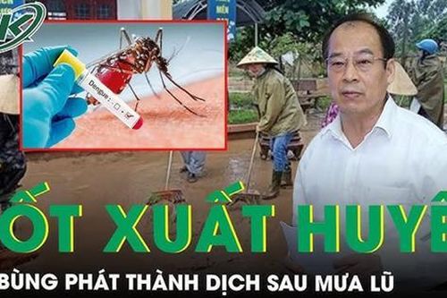 Cảnh báo dễ bùng dịch sốt xuất huyết sau mưa lũ và cách phòng tránh