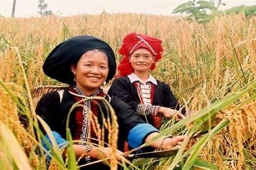 Thành tựu của 'cuộc cách mạng' giảm nghèo ở Việt Nam
