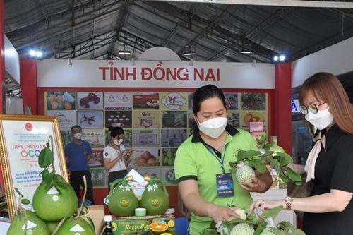 700 gian hàng sẽ tham gia kết nối cung cầu hàng hóa tại TPHCM