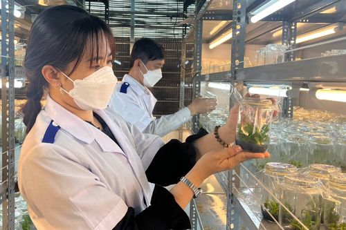 Bến Tre đẩy mạnh phát triển nguồn nhân lực chất lượng cao