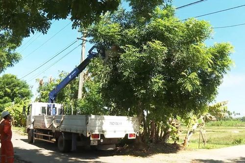 Quảng Ngãi: Đảm bảo an toàn điện trước mùa mưa bão năm 2024
