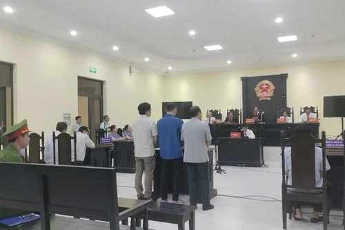 2 cha con 'đại gia' điện gió miền Tây bị phạt tù vì lừa đảo chiếm đoạt tài sản