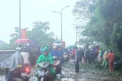 Cây lớn gãy đổ đè trúng người dân đi đường
