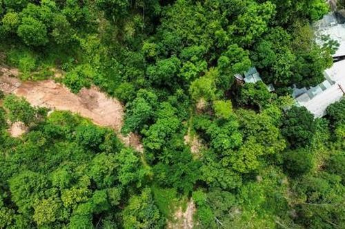 Người dân Đà Nẵng lo sợ sạt lở dưới chân núi Sọ