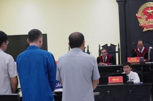 Cha con đại gia điện gió miền Tây lĩnh 14 năm tù