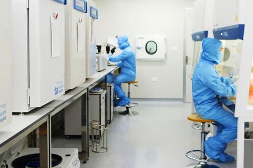 Nâng chất lượng nghiên cứu tế bào và ứng dụng trị liệu tế bào gốc tại Việt Nam