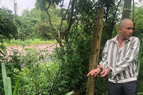 Giăng điện để chống lấy trộm sầu riêng, khiến 1 người tử vong ở Gia Lai