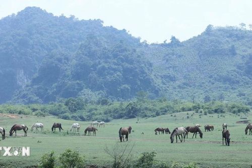 Lạng Sơn: Nhiều hoạt động hấp dẫn trong Lễ hội Thảo nguyên Đồng Lâm