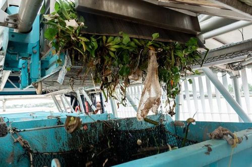 Đổi mới công nghệ thu gom rác thải: Giải pháp ngăn nhựa từ đất liền ra biển