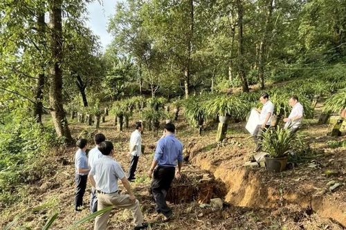 Xuất hiện vết nứt, sụt lún tại bản du lịch cộng đồng Sin Suối Hồ ở Lai Châu