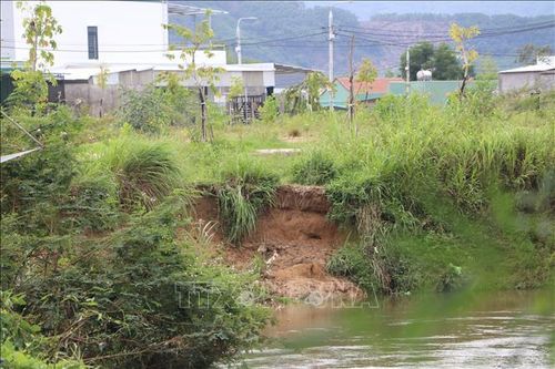 Canh cánh nỗi lo sạt lở bờ sông Phước Giang