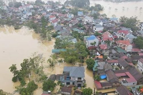 Lại bão
