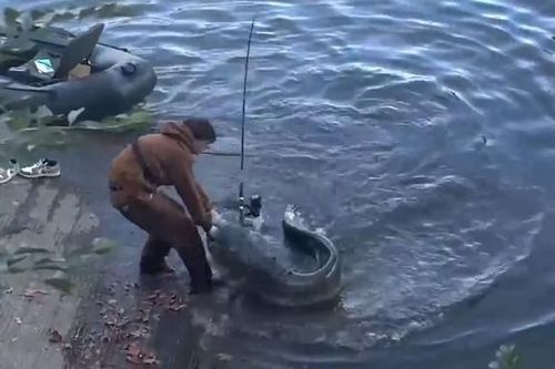 Clip: Nam thanh niên câu được con cá trê khổng lồ trên sông
