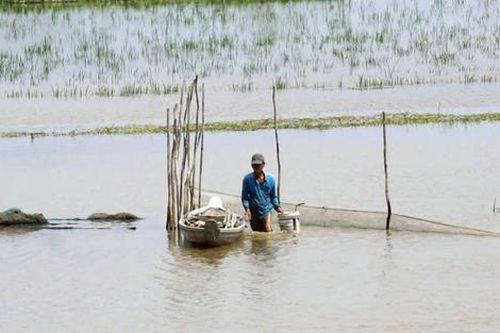 Các tỉnh miền Tây cảnh báo ngập lụt