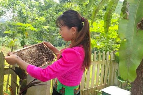 Phát triển các sản phẩm xứ Mường dựa vào lợi thế từ thiên nhiên