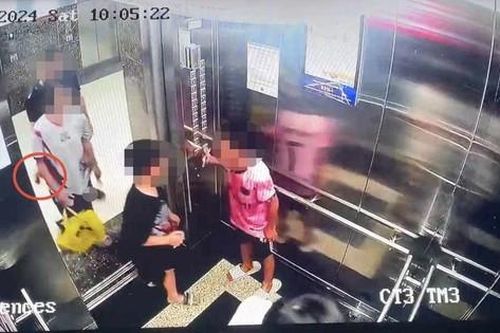 Vụ cô gái 18 tuổi tố bị vỗ vào mông trong thang máy: 'Đội Cảnh sát hình sự vào cuộc'