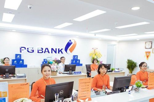 Danh tính 16 cổ đông nắm giữ 97% vốn điều lệ tại PGBank, xuất lộ 'bóng hình' TC Group