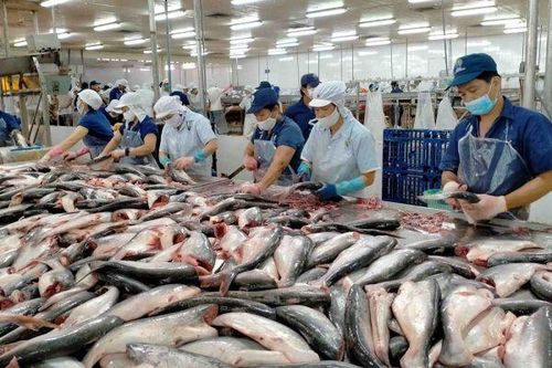 Doanh thu tháng 8 của Vĩnh Hoàn nối dài chuỗi nghìn tỷ