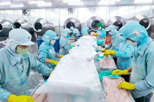 Tăng tốc đến nền kinh tế Net Zero: 'Chính sách nên cập nhật xu hướng sản xuất của doanh nghiệp'
