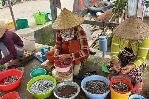 Phụ nữ nông thôn mưu sinh mùa lũ