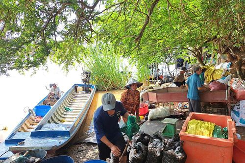 Nhộn nhịp chợ cá vùng biên