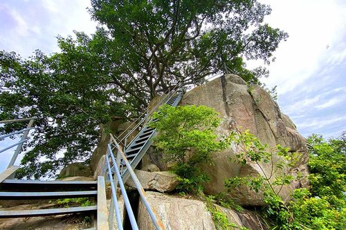 Rong ruổi trên núi Sập