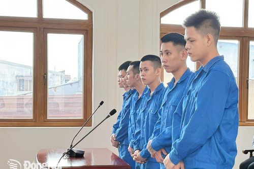 Rủ nhau giết người, cả nhóm cùng đi tù