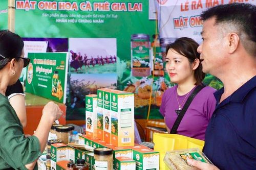 Sản phẩm mật ong hoa cà phê vươn xa trên thị trường