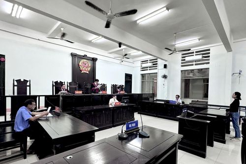 Vụ cháu tâm thần gây trọng thương cho chú: Hủy bản án sơ thẩm để điều tra, xét xử lại