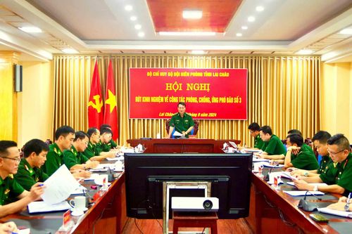 Hội nghị rút kinh nghiệm về công tác phòng, chống ứng phó bão số 3