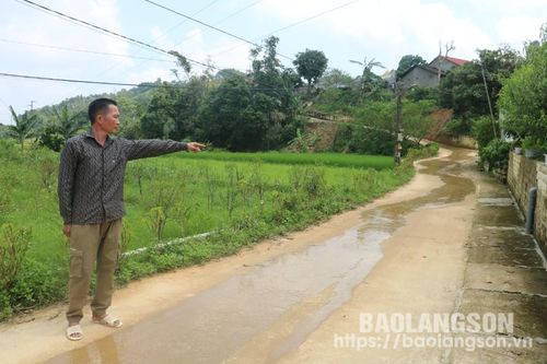 Người nông dân tiêu biểu trong hiến đất làm đường