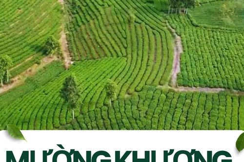 Mường Khương thu hút đầu tư vào nông nghiệp