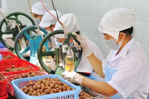 Lâm Đồng với tiến trình 'chuyển đổi xanh' (Bài cuối)