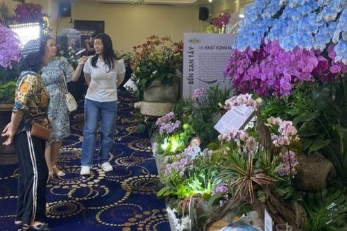 Tích hợp giá trị cho hoa lan Đà Lạt