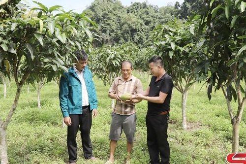 Đảng bộ xã Chiềng Khay học và làm theo Bác