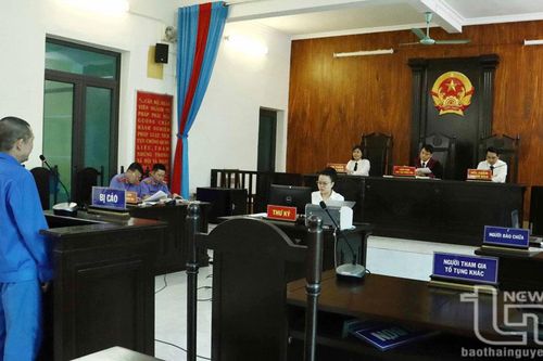 Phạm tội vì không hiểu pháp luật về bảo vệ rừng