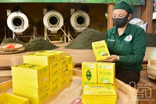 Quản lý nhãn hiệu tập thể - Nâng tầm giá trị 'Chè Thái Nguyên' (bài 2): Gian nan bảo hộ nhãn hiệu tập thể