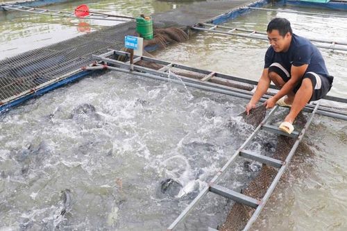 Bắc Ninh: Tập trung khắc phục hậu quả bão số 3, ổn định sản xuất