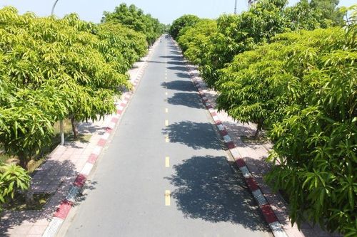 Bài 1: Carboncor Asphalt – tấm áo mới cho những con đường xanh