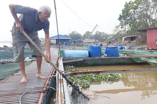 Hà Nam: Nhiều thiệt hại về trồng trọt, chăn nuôi do ảnh hưởng của bão số 3
