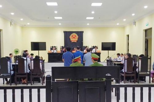 Hai cha con lĩnh án tù vì lừa đảo chiếm đoạt tài sản