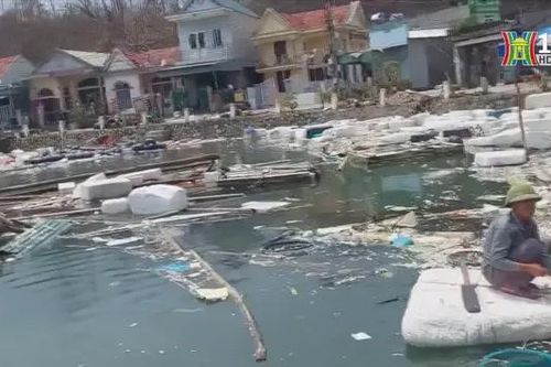 Đề xuất chính sách hỗ trợ doanh nghiệp phục hồi sau bão