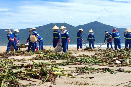 Hàng chục tấn rác bủa vây bãi biển Đà Nẵng sau bão số 4