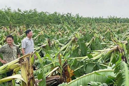 Tin tức đặc biệt trên báo in Hànôịmới ngày 20-9-2024