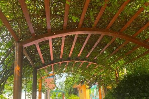 Công trình trên đất trồng cây lâu năm tại xã Tản Lĩnh: Vẫn đang chờ xử lý