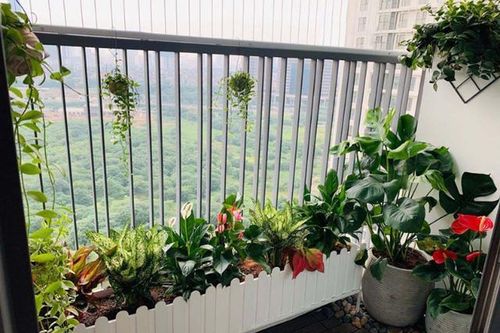 Cách trang trí ban công chung cư đẹp cuốn hút mà tiết kiệm chi phí