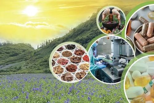 Tăng cường kết nối giao thương phát triển thị trường sản phẩm dược liệu, y dược cổ truyền